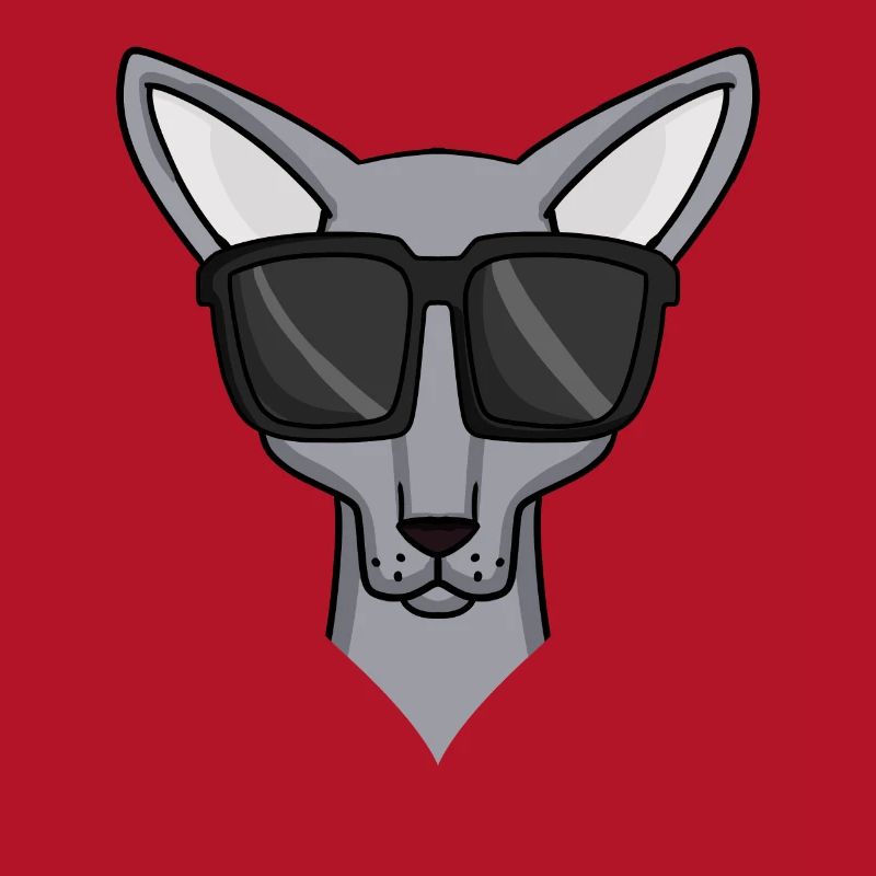 Chat Sphynx avec lunettes de soleil