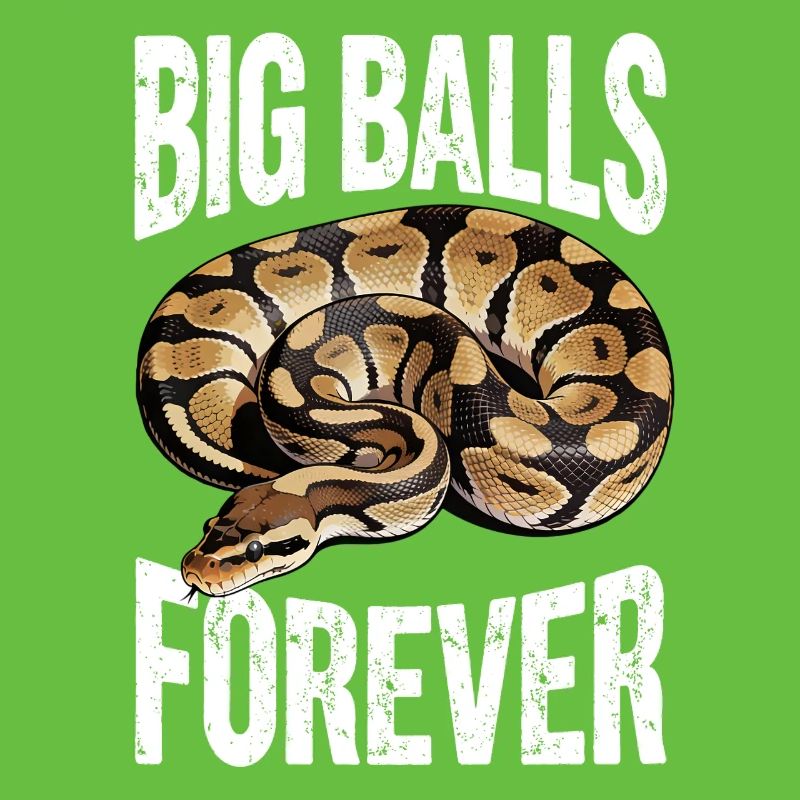Python roi Serpents Amateurs de terrarium Python