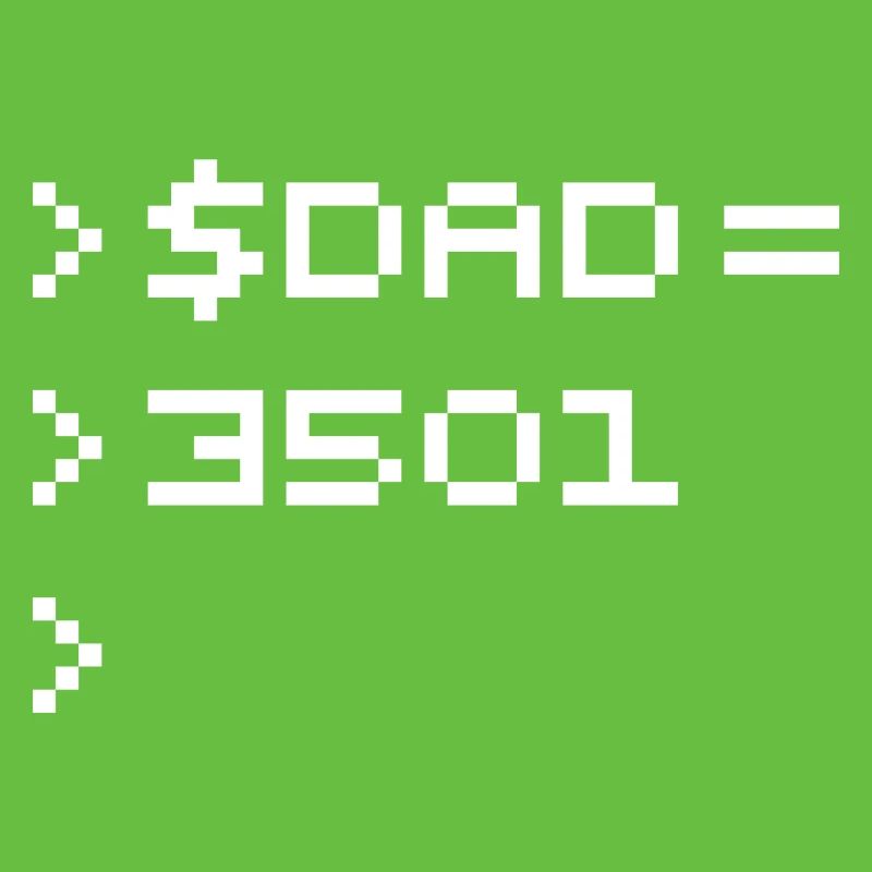 DAD Terminal de Pixels Nerd Code 8-Bits Rétro