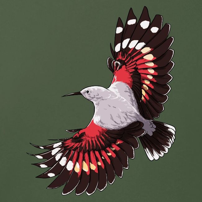 Birdingplaces Wallcreeper