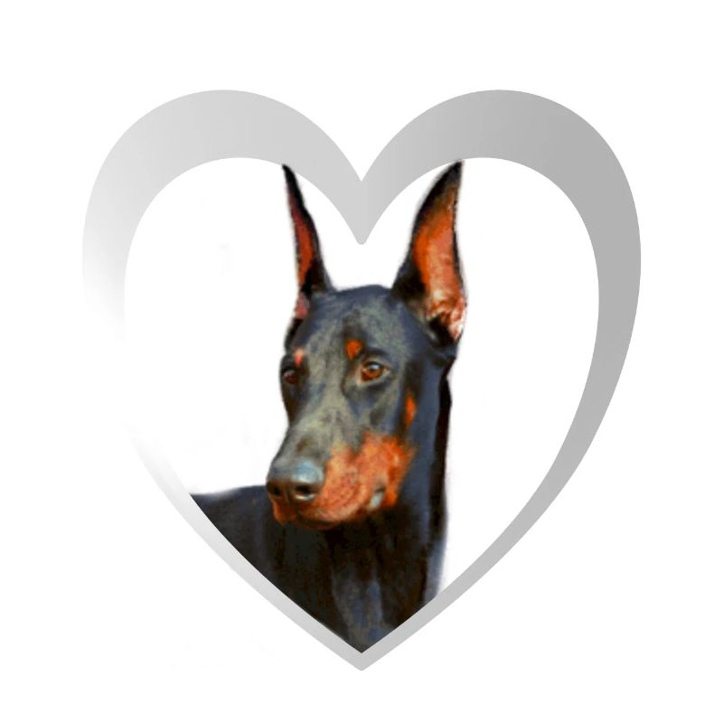 Dobermann - Dobermann Hund