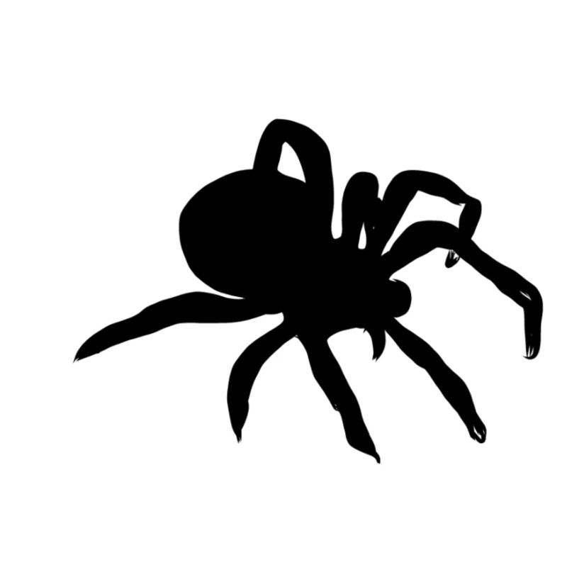 spider
