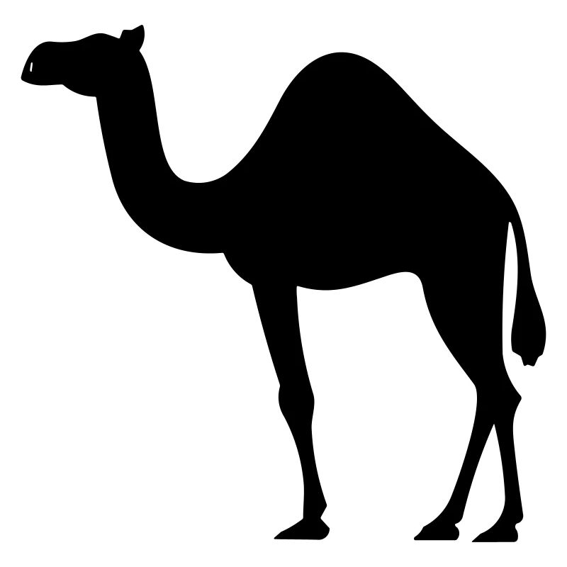 Kamel