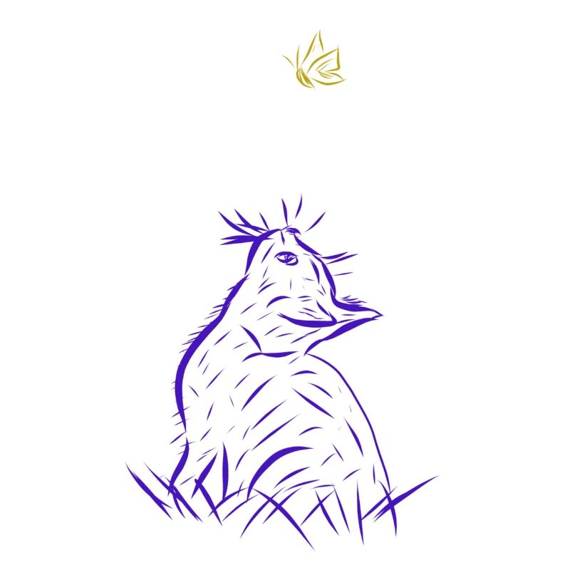 chat