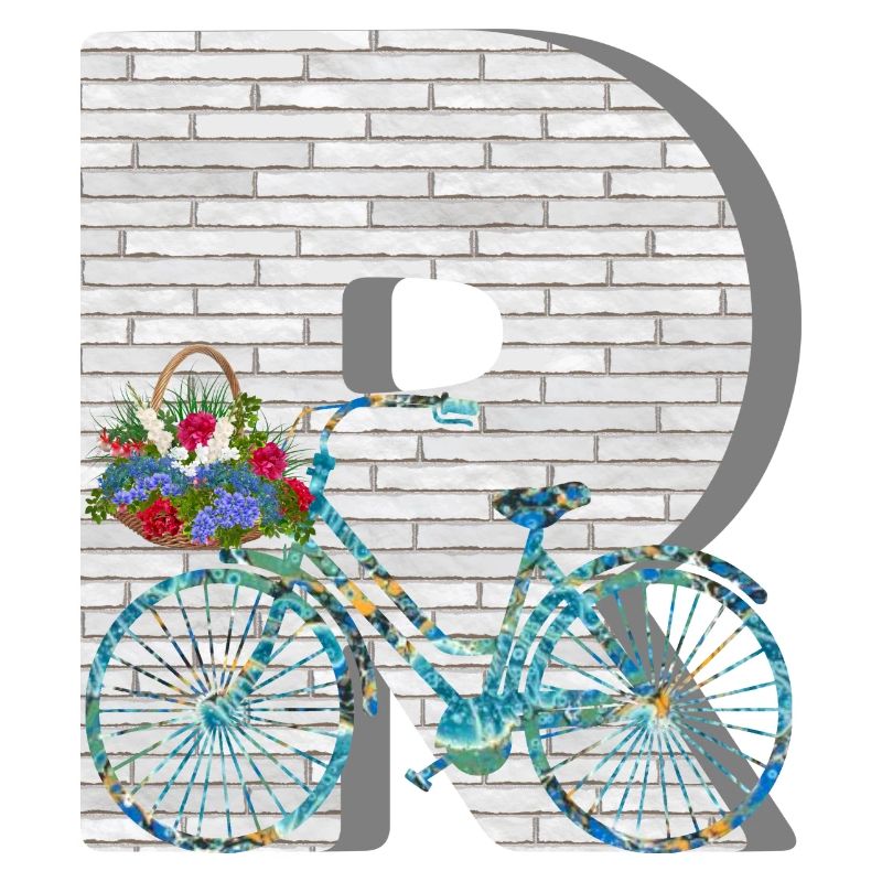 bicycle e 100 r