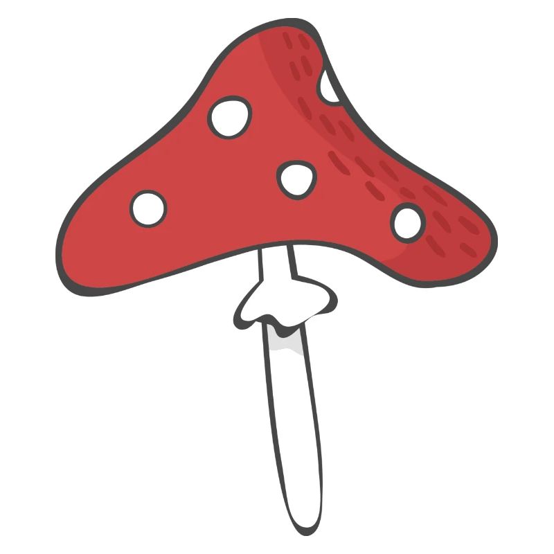 Champignon à mouches