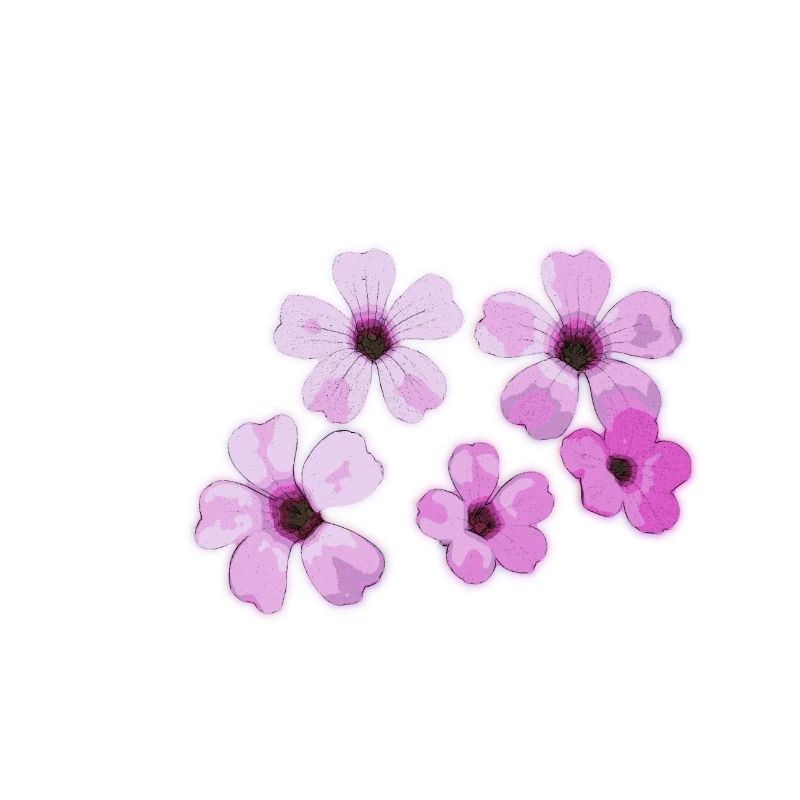 Fleurs
