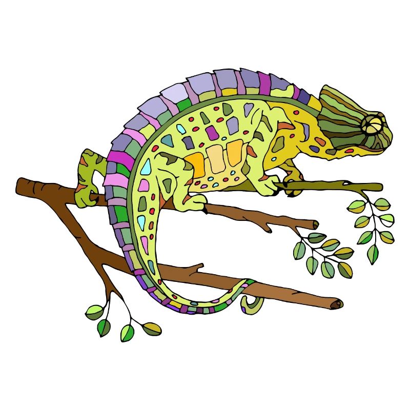 caméléon