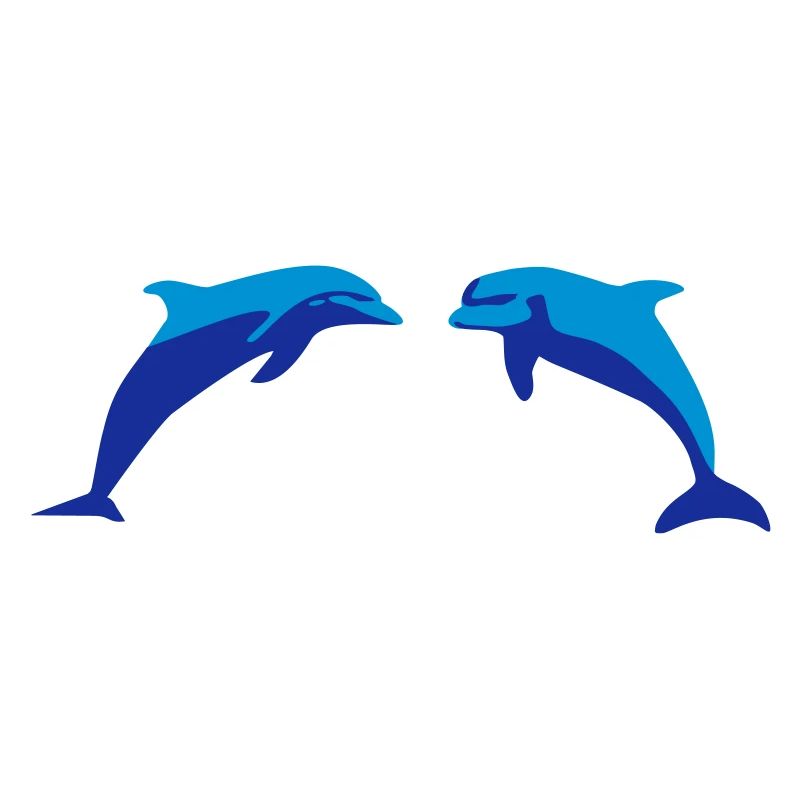 Dolphins, Dolphin