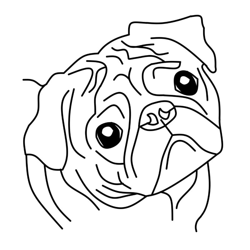 Mops Face - Der Niedliche Begleiter