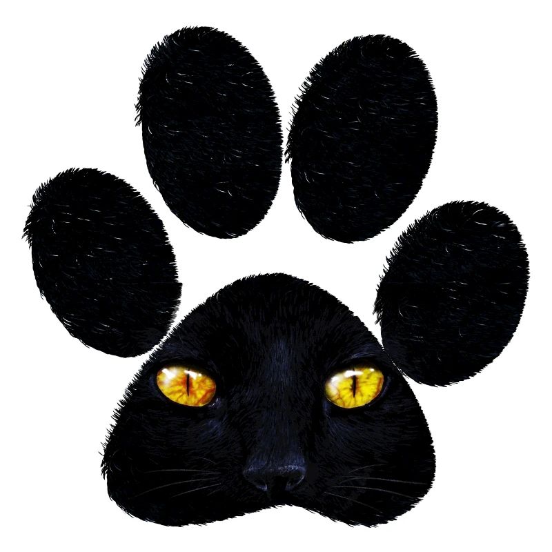 Patte de chat