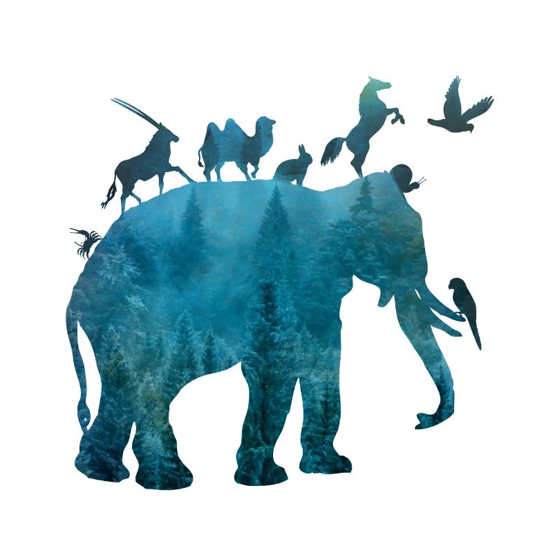 Ark with animals