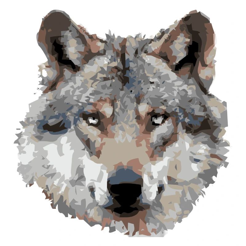 Wolf (grau)