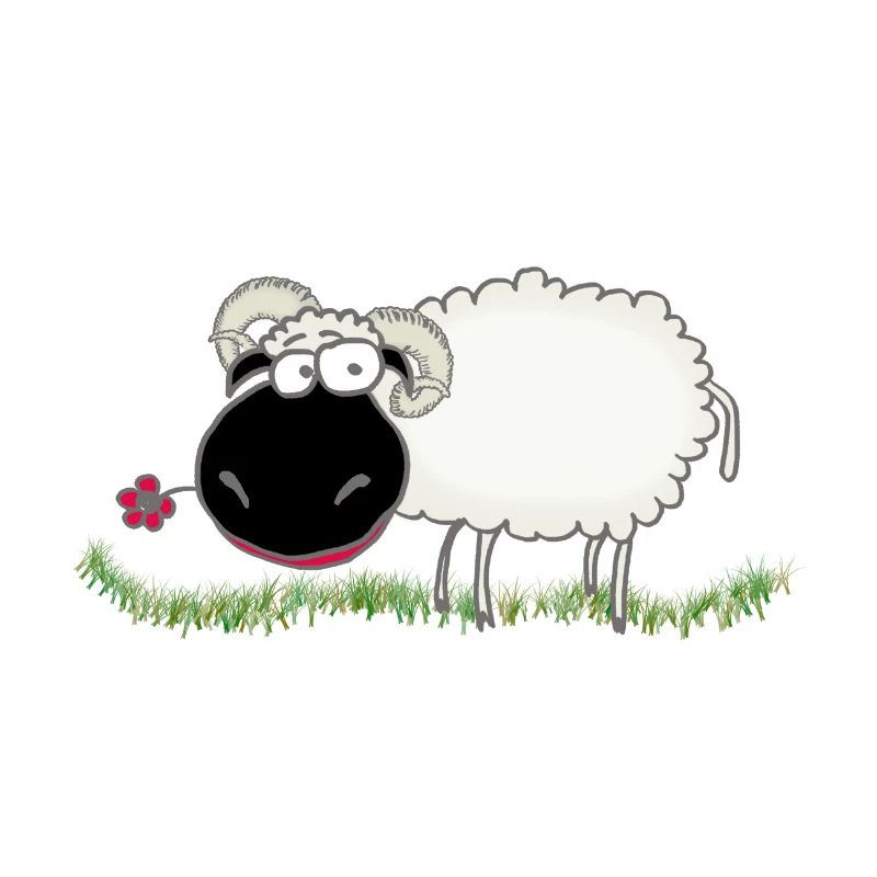Walliser Schwarznasenschaf