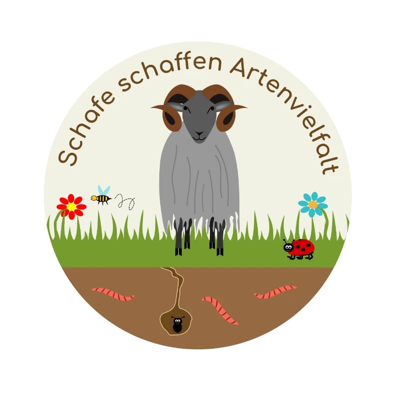 Sheep create biodiversity Heidschnucke
