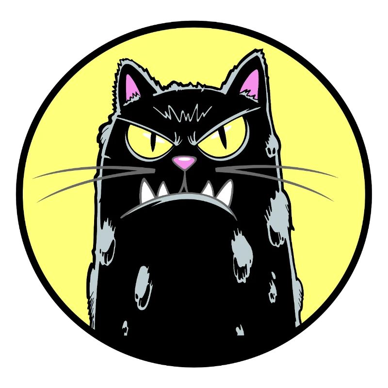 Black cat