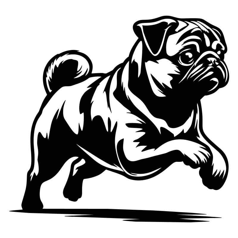Pug