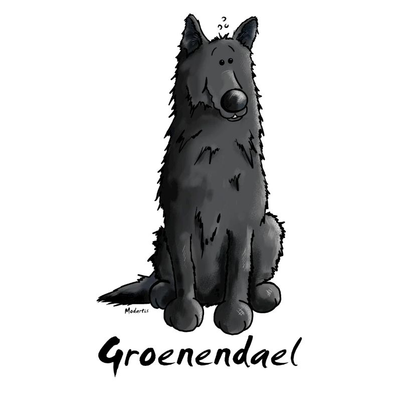 Cute Belgian Shepherd Dog