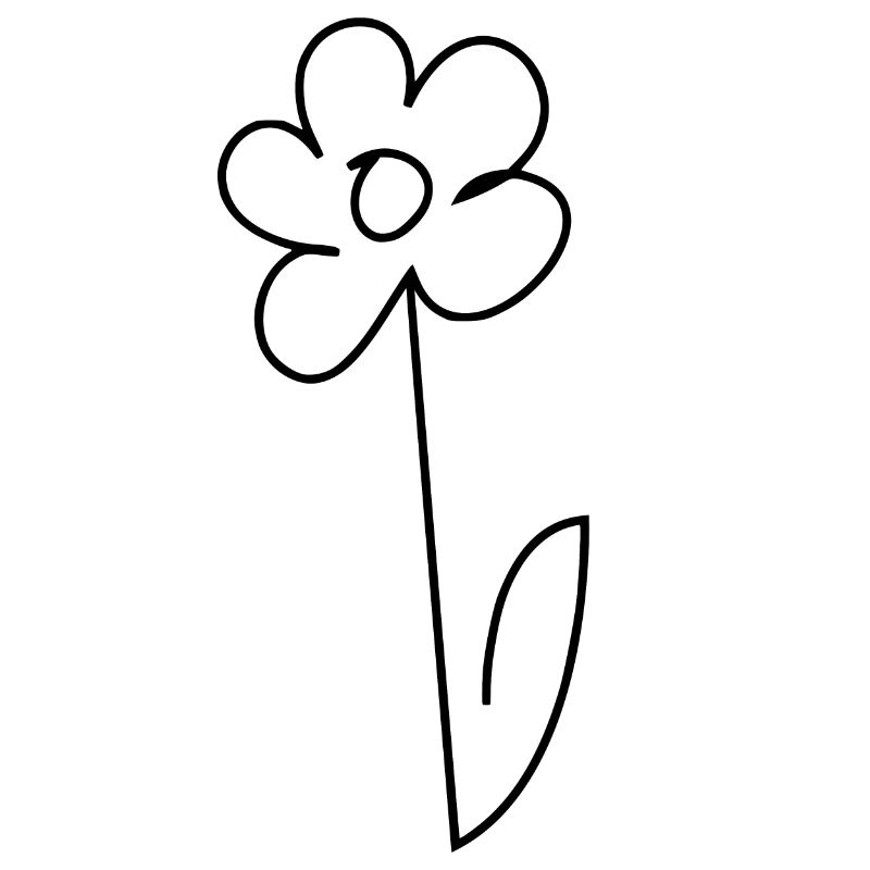 Gänseblümchen
