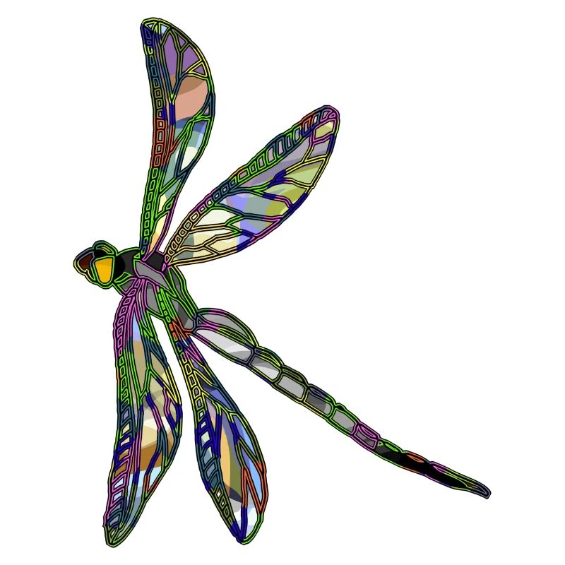 Libellule