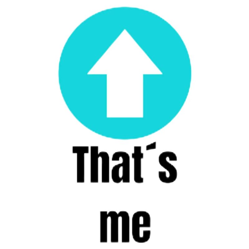 das bin Ich transformed