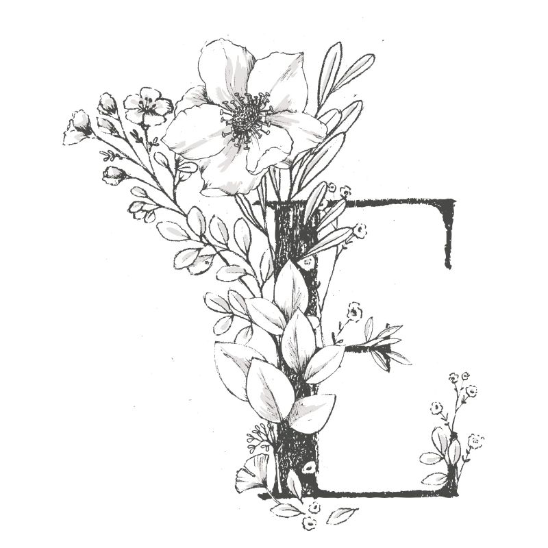 Letter E