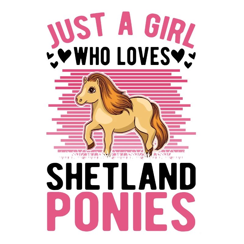 Shetlandpony Mädchen Shetland-Pony Shetty
