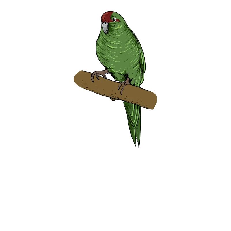 Perruche de chèvre I Motif de perruche pour porte-oiseau
