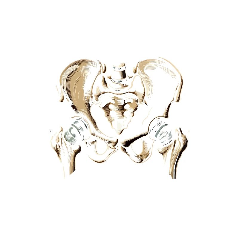 Happiness Is A New Hip Bionic Joint Replacement