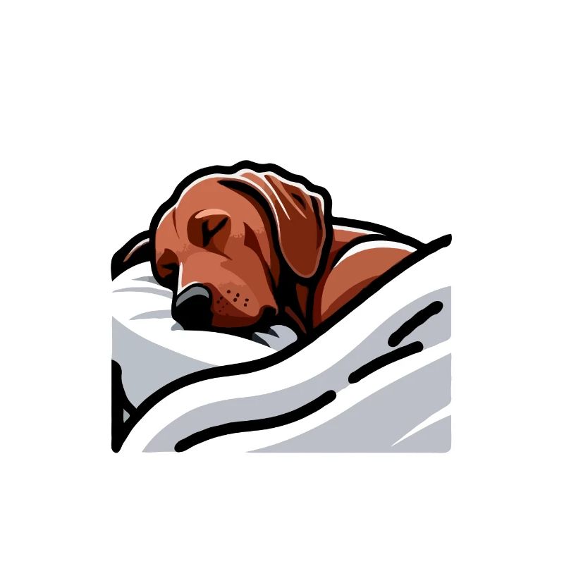 Chien Rhodesian Ridgeback Rhodesian Ridgebacks