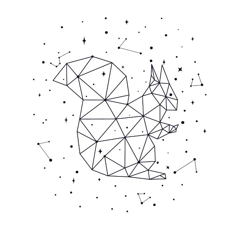 Constellation Squirrel Constellation Squirrel
