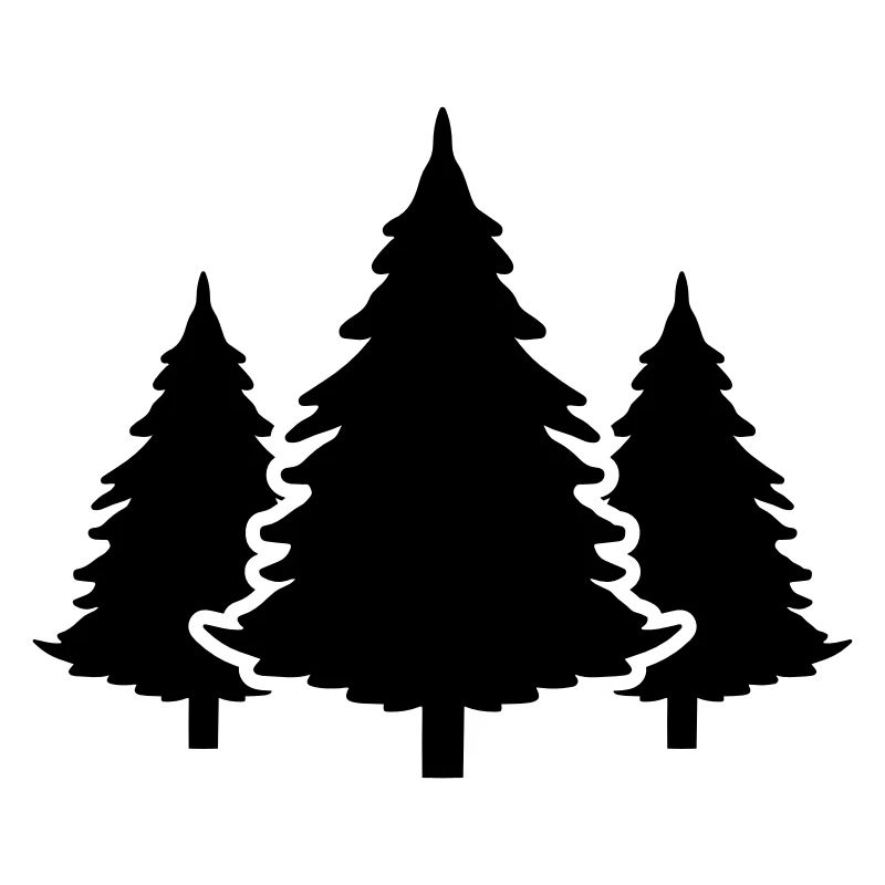 Tree Forest Fir