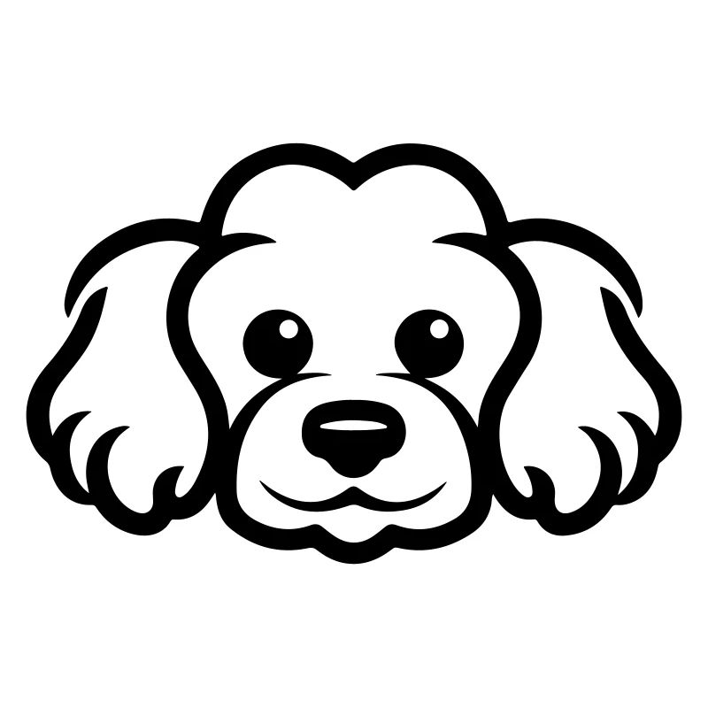 Pudel Hund Kopf