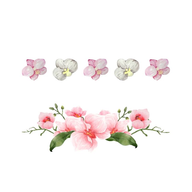 Nur noch eine Orchidee, die ich verspreche