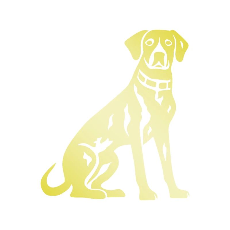 Dalmatiner Hund Silhouette
