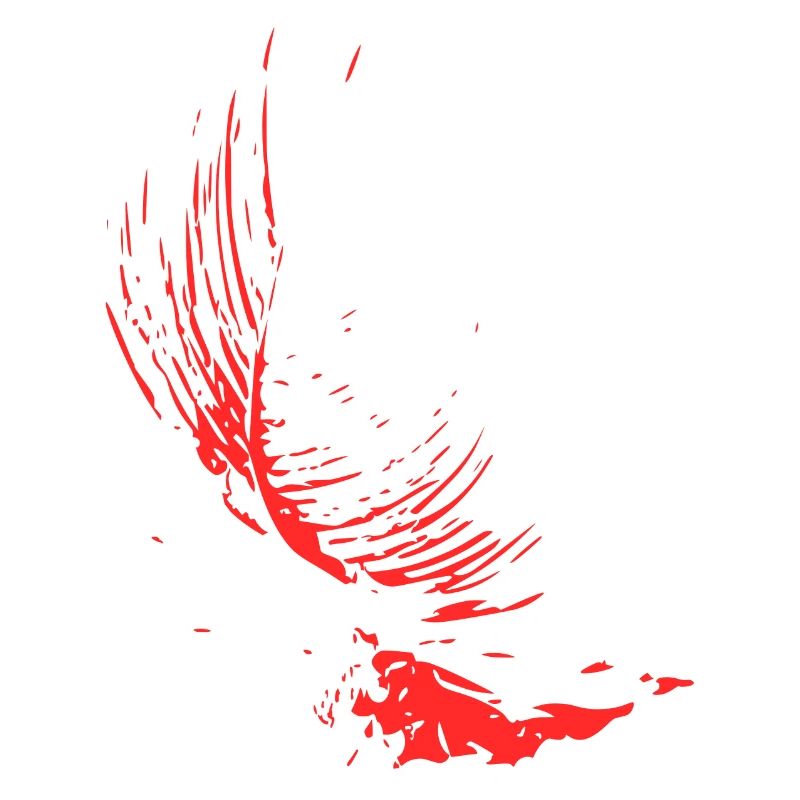 Abstract Design / Line / Pattern / Nature / Red