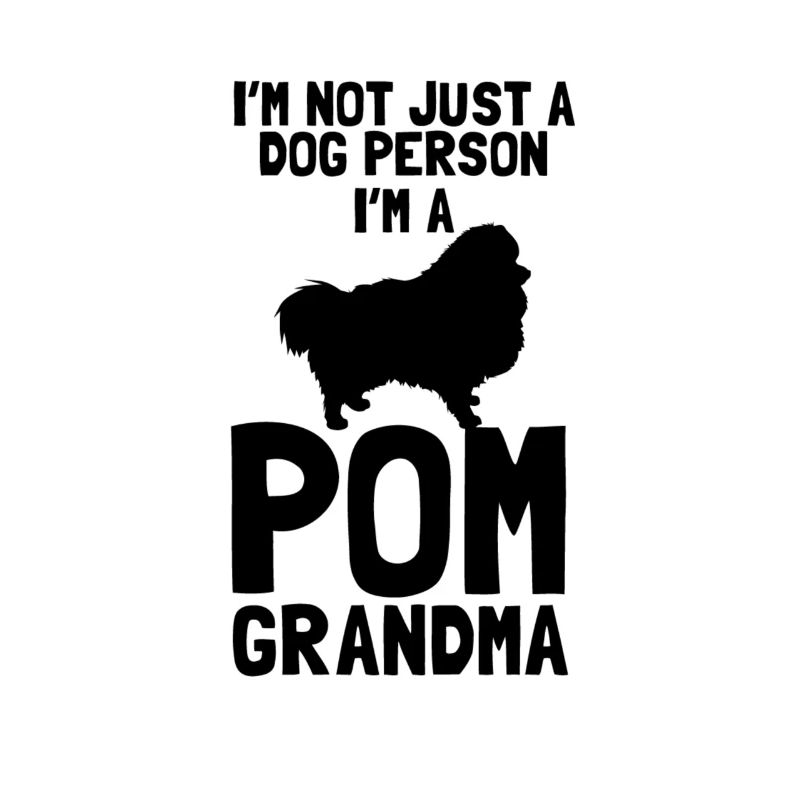 Spitz Pomeranian Zwergspitz Chien