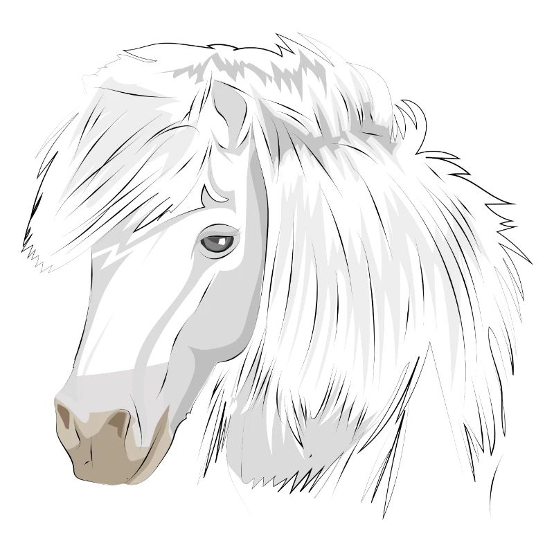 Poney Cheval Blanc Cheval Blanc