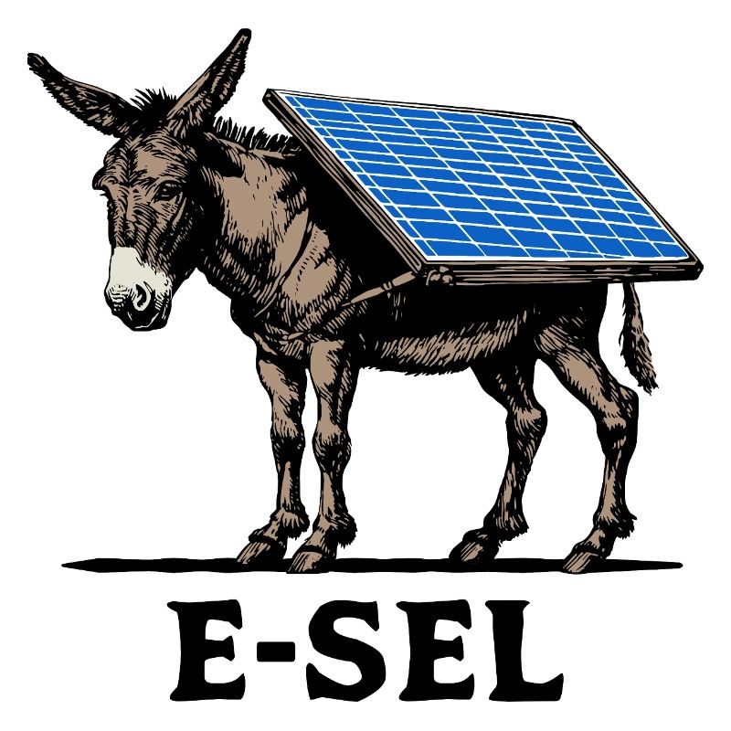 Solar E-sel, Esel, Lasttier, Packesel