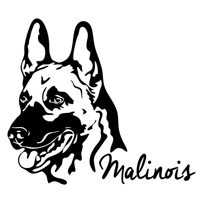 MALINOIS Belgian Shepherd Wilsigns dogs IGP