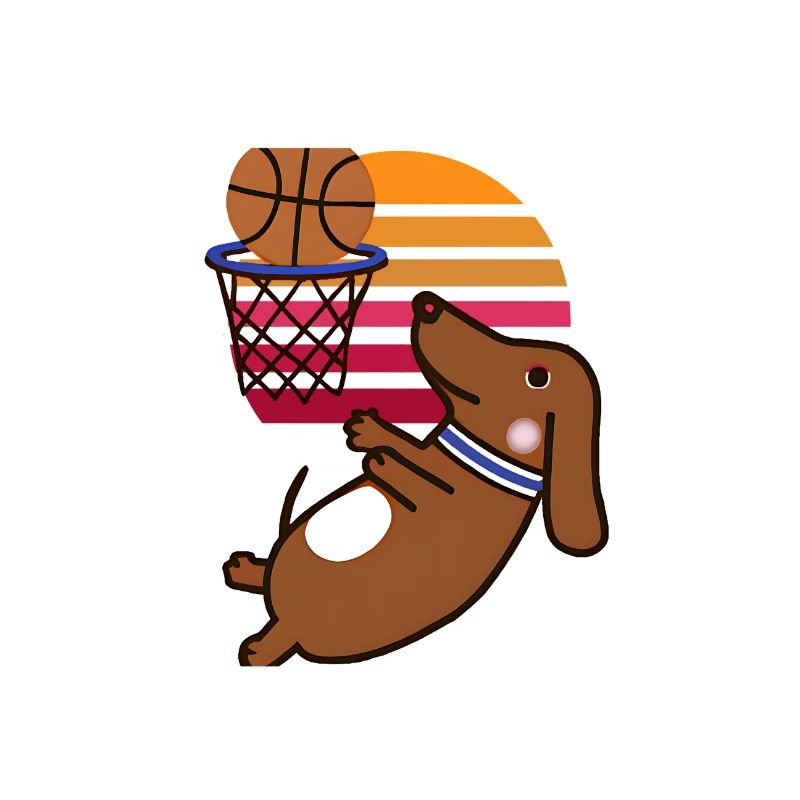 Here Comes The Basketbarker