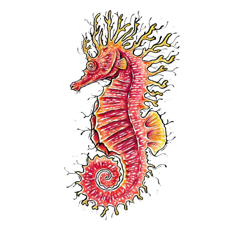 Hippocampe