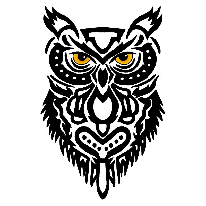 Der Blick der schwarzen Eule