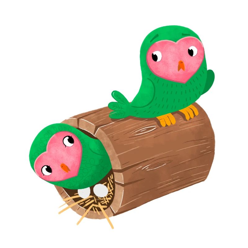 Nesting peach face lovebirds in a log