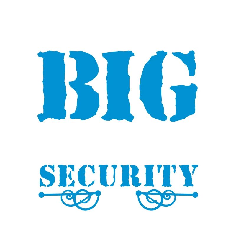 Big Daddy Security