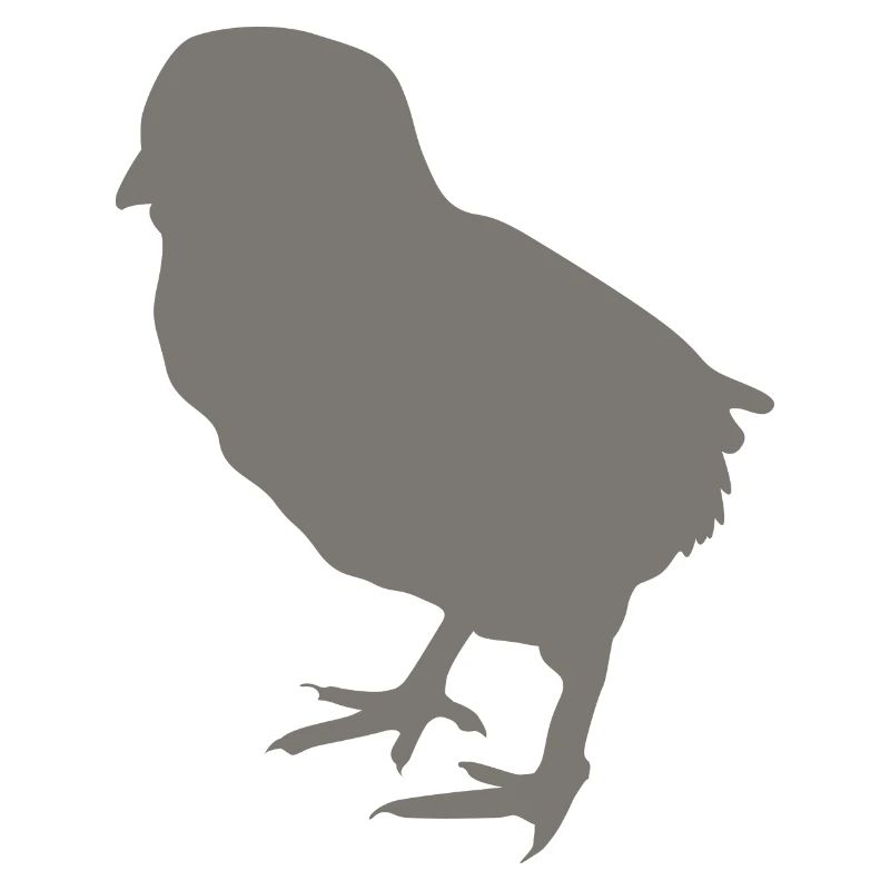 chick