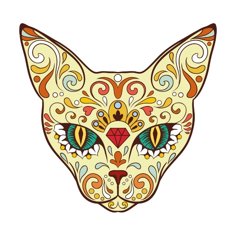 chat
