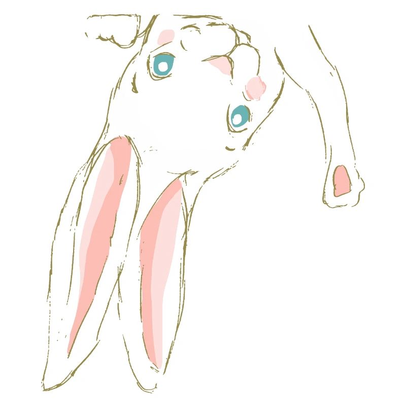 Rabbit