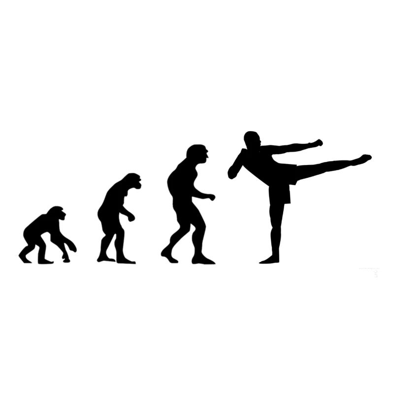 Kickboxen Evolution Boxen Geschenk Sport