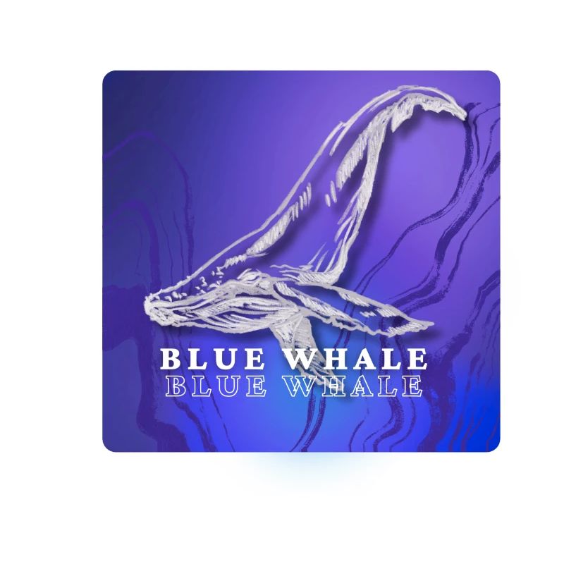 BLUE WHALE
